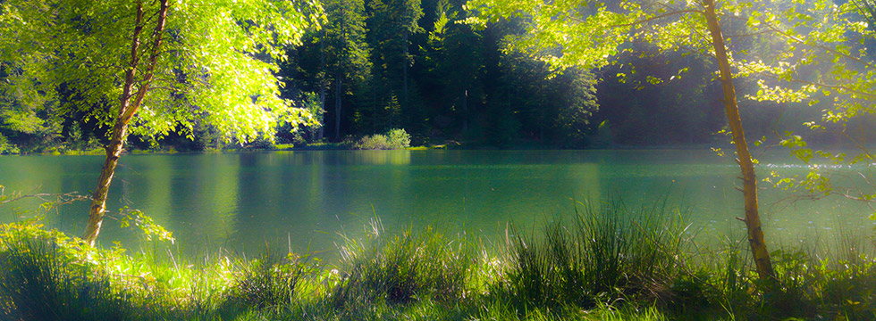 Contact cours-de-photo.net